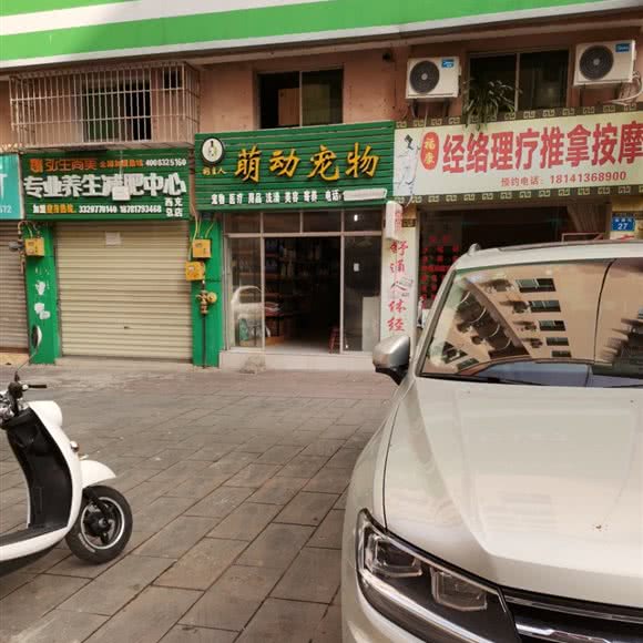 好主人萌动宠物:南充市西充县