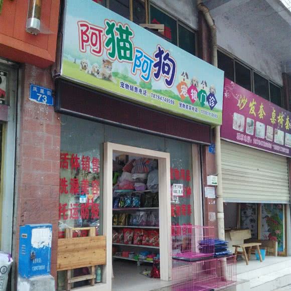 阿猫阿狗宠物门诊:南充市西充县