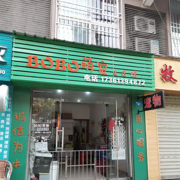 BOBO萌宠生活馆:南充市阆中市