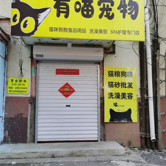 有喵宠物:沈阳市皇姑区明廉附近