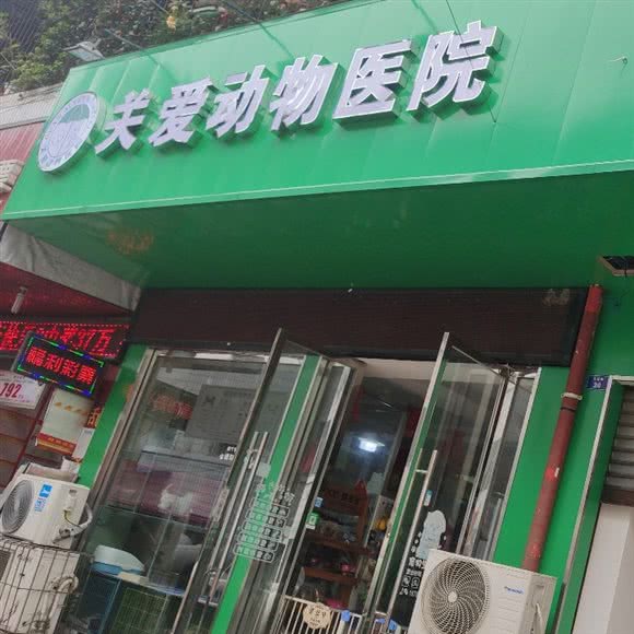 喵乐哆·关爱动物医院:眉山市彭山区