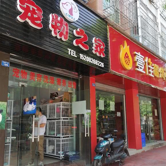 宠物之家(先锋街二段店):眉山市仁寿县