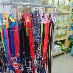 狗狗狗迷:眉山市仁寿县