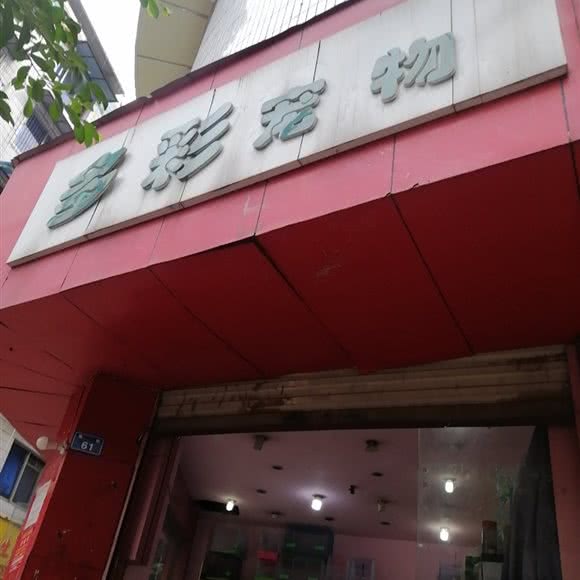 多彩宠物:眉山市仁寿县