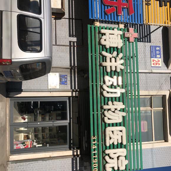 博洋小动物医院:沈阳市皇姑区明廉附近