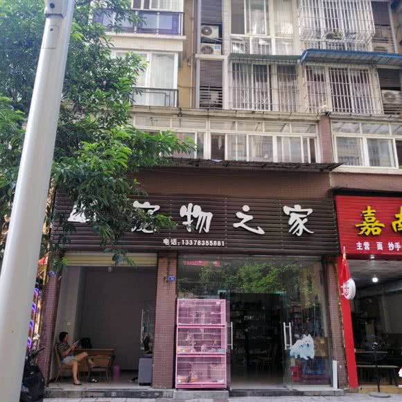 宠物之家(嘉南路一段):眉山市仁寿县