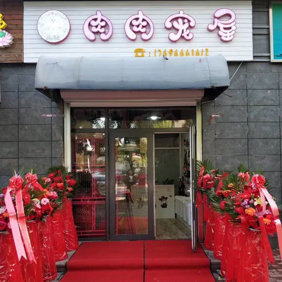 肉肉宠屋:沈阳市皇姑区四台子附近