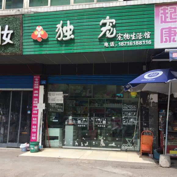 独宠宠物生活馆:宜宾市翠屏区