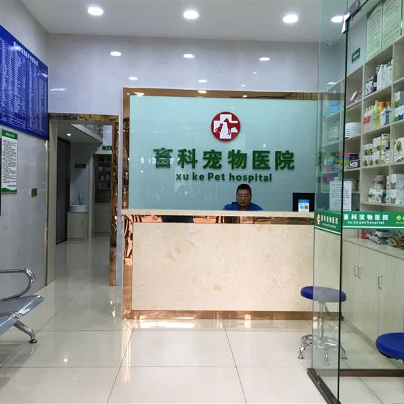 畜科宠物医院:宜宾市翠屏区