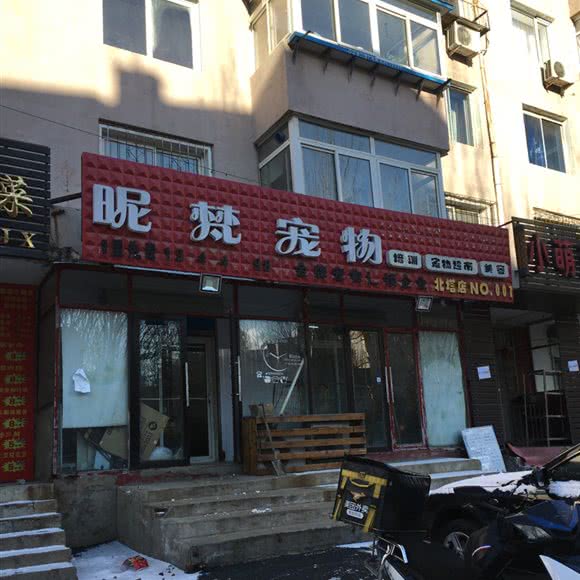 昵梵宠物(北塔店):沈阳市皇姑区长客总站附近