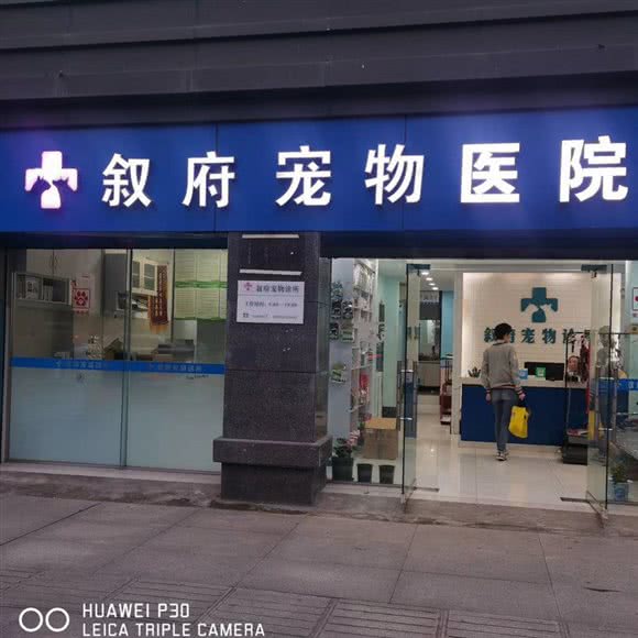叙府宠物医院(蜀南大道店):宜宾市叙州区