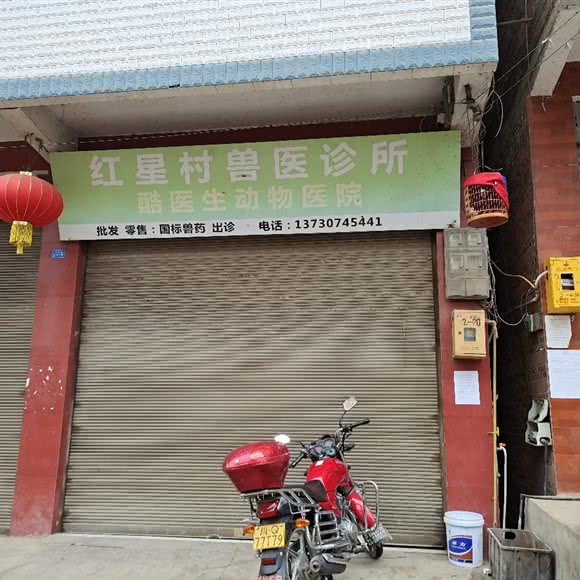 红星村兽医诊所:宜宾市珙县