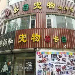 喜多豆宠物狗生活馆:沈阳市皇姑区皇姑屯附近