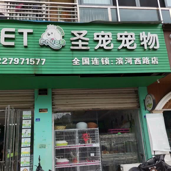圣宠宠物(滨河西路店):广安市岳池县