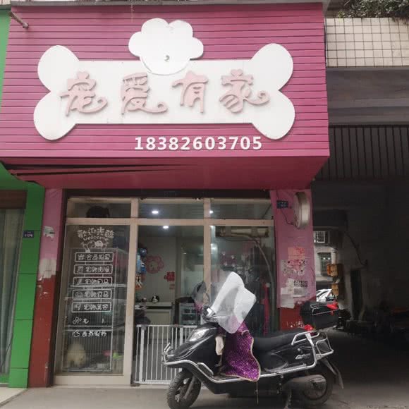 宠爱有家:广安市岳池县