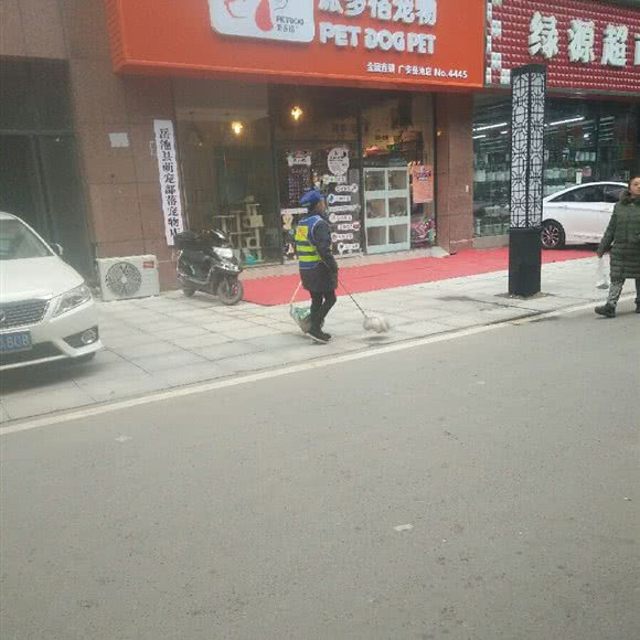 派多格宠物(岳池店):广安市岳池县