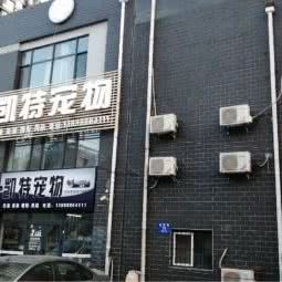 凯特宠物:沈阳市皇姑区辽宁大学南校区附近