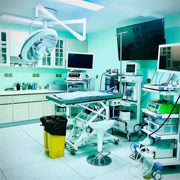 全心全意猫专科微创中心(欢乐谷店):北京城区朝阳区北京欢乐谷附近