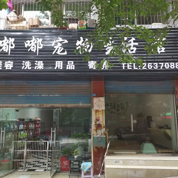 嘟嘟宠物生活馆:达州市通川区