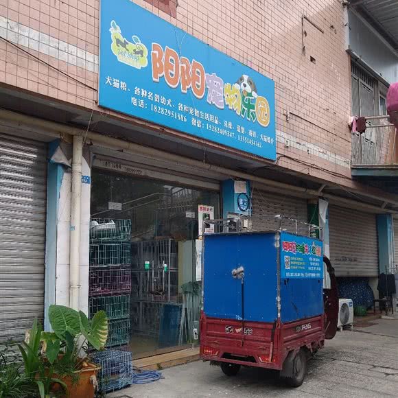 阳阳宠物乐园:达州市通川区