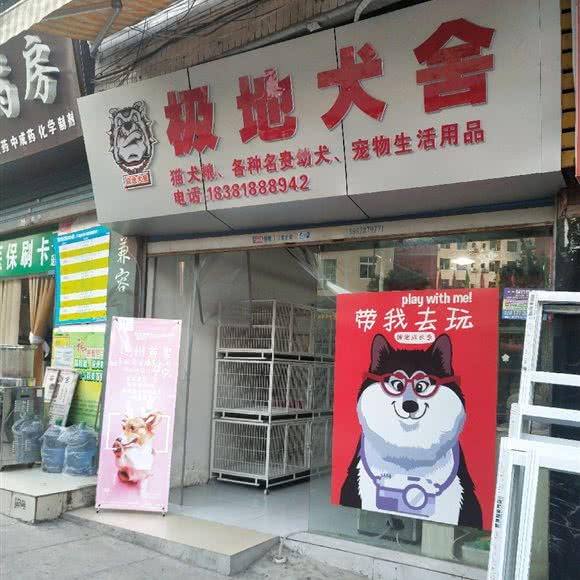 极地犬舍:达州市通川区