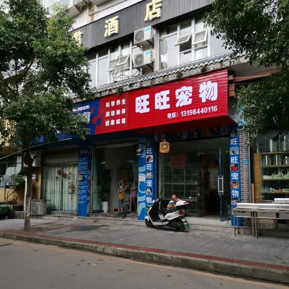 旺旺宠物狗:达州市开江县