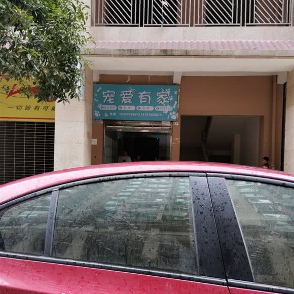 宠爱有家(峨城大道店):达州市开江县