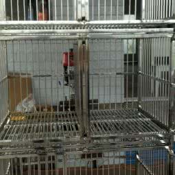 爱宠屋:达州市大竹县