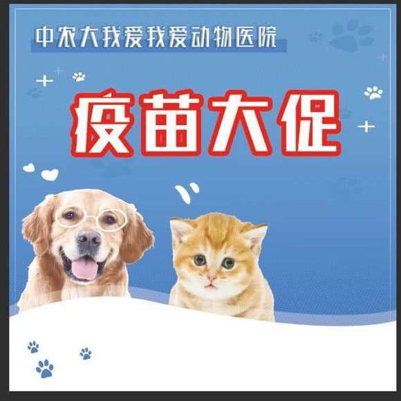 中农大我爱我爱动物医院(欢乐谷店):北京城区朝阳区北京欢乐谷附近