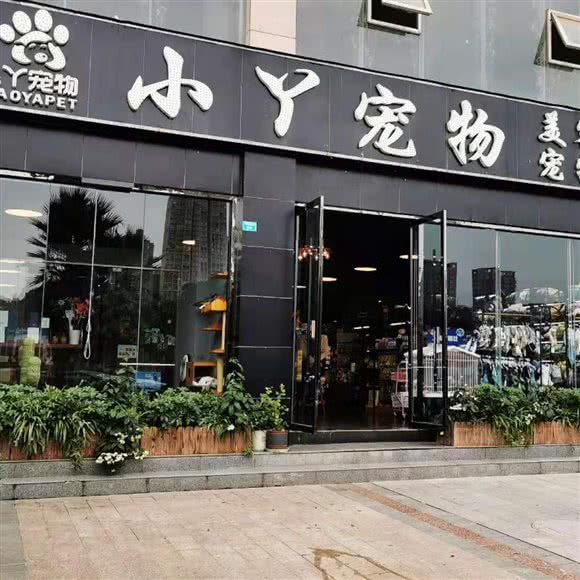 小丫宠物狗美容会所:巴中市巴州区