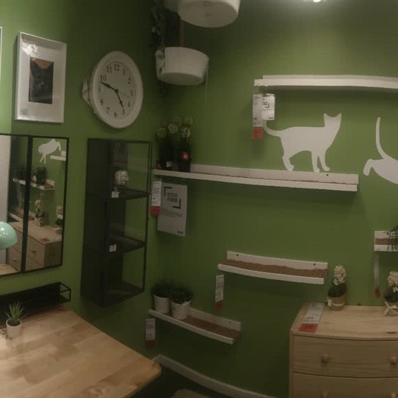 明星宠物工作室:沈阳市铁西区沈辽路万达附近