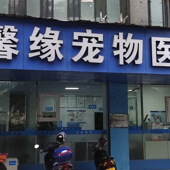 巴中馨缘宠物医院:巴中市巴州区