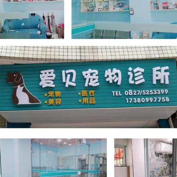 爱贝宠物诊所:巴中市巴州区