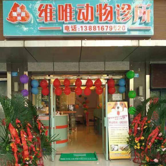 维唯哺乳动物诊所:巴中市巴州区