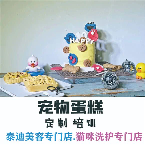 超萌宠物局:沈阳市铁西区沈辽路万达附近