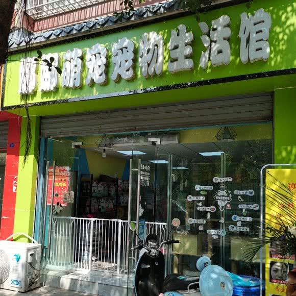 娜娜萌宠宠物生活馆:巴中市南江县