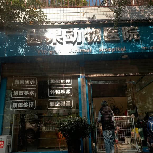 因果动物医院:巴中市南江县