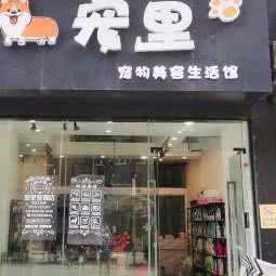 宠里宠物店:资阳市雁江区