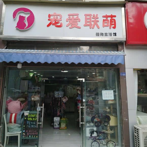 宠爱联萌猫狗生活馆:资阳市雁江区