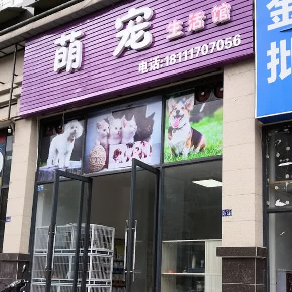 萌宠生活馆:资阳市雁江区
