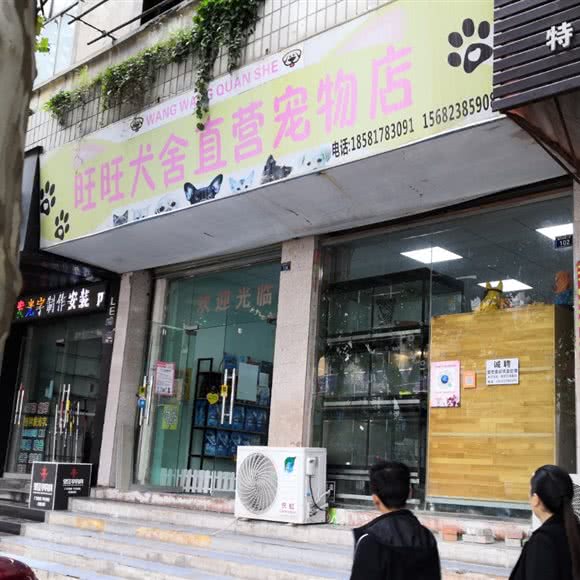 旺旺犬舍直营宠物店:资阳市雁江区