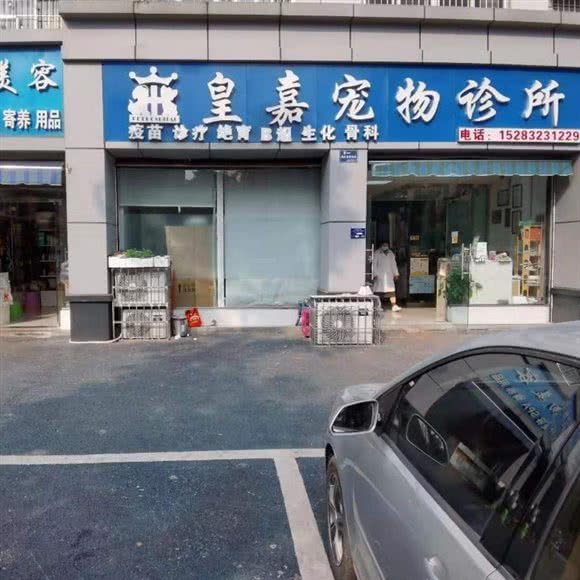 皇嘉宠物医院:资阳市雁江区
