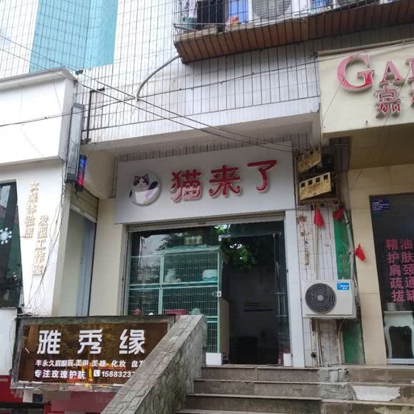 猫来了:资阳市安岳县