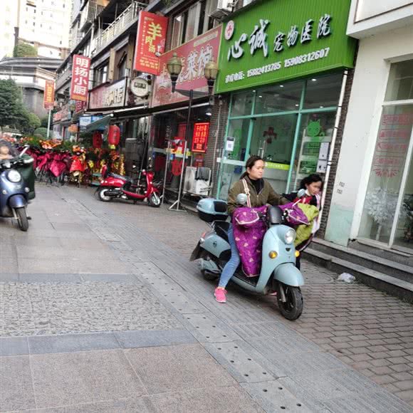 心诚宠物医院:资阳市安岳县