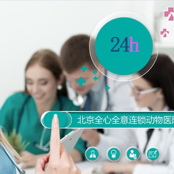 全心全意连锁店动物医院:北京城区朝阳区马泉营附近