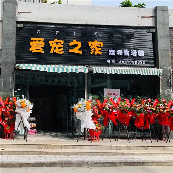 爱宠之家宠物生活馆:凉山彝族自治州西昌市