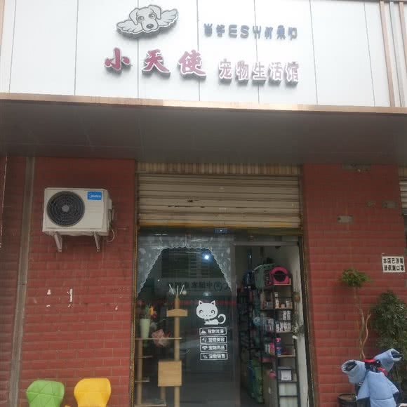 小天使宠物店:凉山彝族自治州西昌市