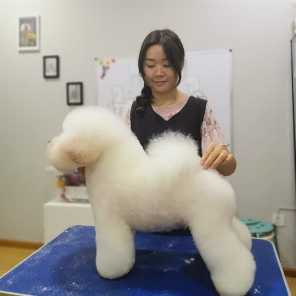 诺叮宠物:凉山彝族自治州西昌市