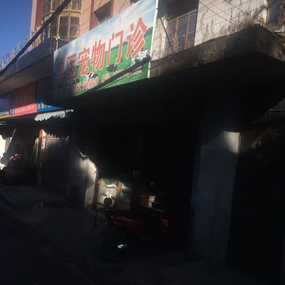 兽医宠物门诊:凉山彝族自治州德昌县