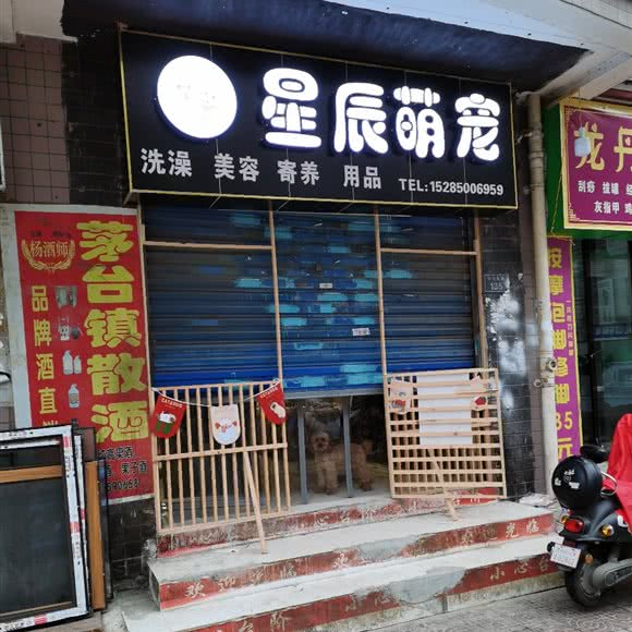 星辰萌宠:贵阳市南明区